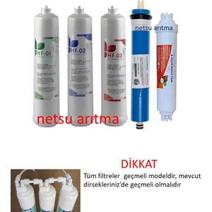 -HF serisi Kapalı kasa su arıtma filtresi, Üstten çift çubuklu 5 li filtre