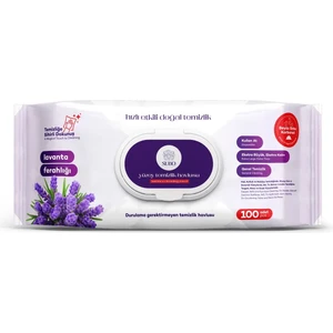 Yüzey Temizlik Havlusu Lavanta Ferahlığı 100'LÜ