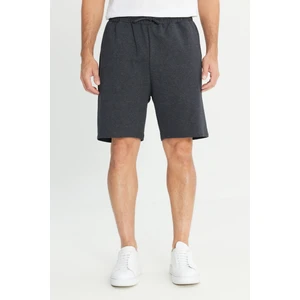 Altınyıldız Classics Erkek Antrasit Standart Fit Normal Kesim 2 İplik Cepli Recycle Pamuklu Örme Şort