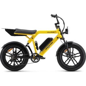 Ape Ryder Colobus Premıum 750W - Sarı