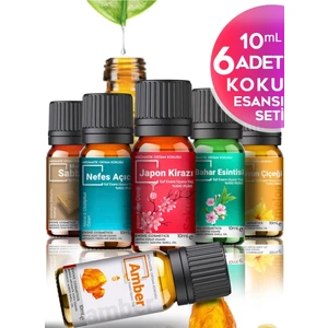 Oda Kokusu Renkli Set Uçucu Yağ & Esansiyel Yağ 6'lı Oda Kokusu Buhardanlık ve Difüzör Koku Seti 6X10ML