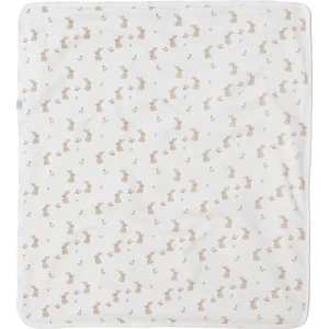 Little Dreams Kız Bebek Battaniye Şardonlu 90X100