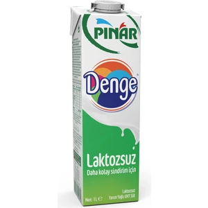 Denge Laktozsuz Süt 1 L x 12 Adet