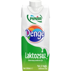 Denge Laktozsuz Süt 500 ml x 12 Adet