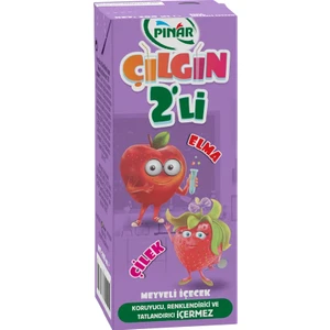 Çılgın Ikili Elma Çilek 200 ml x 27 Adet