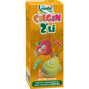 Çılgın Ikili Elma Armut 200 ml x 27 Adet