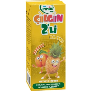 Çılgın Ikili Şeftali Ananas 200 ml x 27 Adet