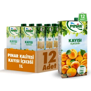 Meyve Nektarı Kayısı 1 L x 12 Adet
