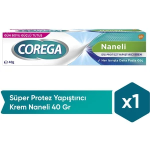 Süper Protez Yapıştırıcı Naneli Krem 40 gr