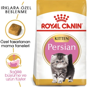 Royal Canin Kitten Persian 32 Yavru İran Irk Maması 2 Kg
