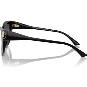 Jimmy Choo Güneş Gözlüğü JC5018U 54 50008G