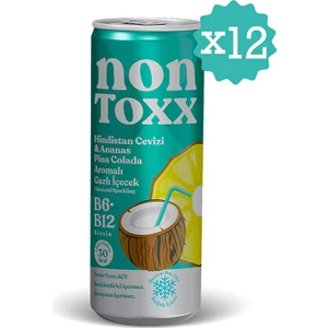 NON TOXX Nontoxx Hindistan Cevizi & Ananas Aromalı, Sirkeli, Gazlı İçecek 250 ML
