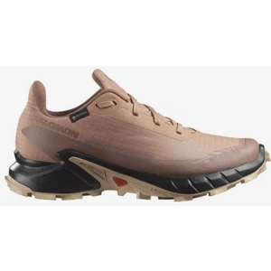 ALPHACROSS 5 GORE-TEX Kadın Koşu Ayakkabısı Cork L47595100