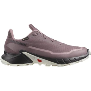 ALPHACROSS 5 GORE-TEX Kadın Koşu Ayakkabısı Moonscape L47311000
