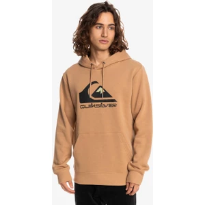 Big Logo Hood Erkek Swearshirt