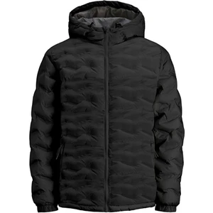 Jack & Jones Jcowın Quılted Erkek Siyah Mont 12250429-Black