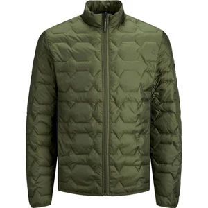 Jack & Jones Erkek Mont 12193100