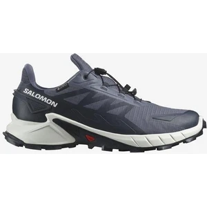 SUPERCROSS 4 GORE-TEX Erkek Koşu Ayakkabısı Grisaille L47462300
