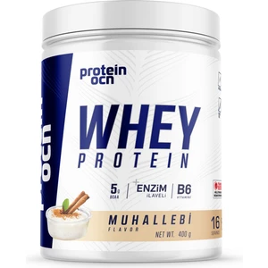 Whey Protein Muhallebi - 400G - 16 Servis