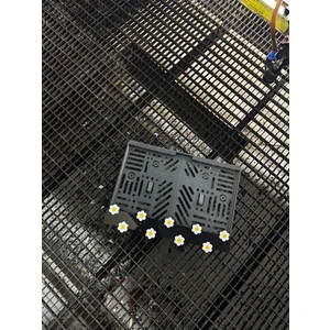 Relax Garage Papatya Motor Pleksi Plakalık