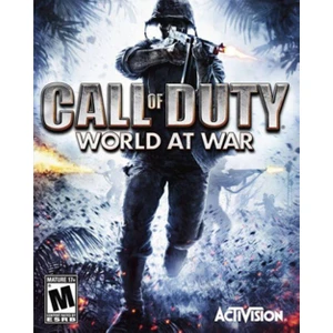 Call Of Duty Word At War