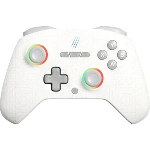 Tactical Mortal 2.4 Ghz/bt Çift Kablosuz Mod - Chromatic Rgb - Makro - Silikon Switch - Hall 3D - Titreşimli - Turbo Modu - 18 Tuşlu Gamepad