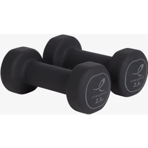 Siyah 2,5kg DAMBIL.90125