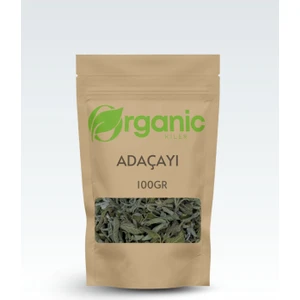 Organic Kiler Adaçayı Doğal & Katkısız 100gr Elenmiş ve Taze
