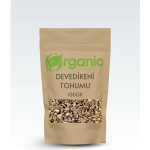Organic Kiler Devedikeni Tohumu 100GR Elenmiş Yeni Mahsül Organik
