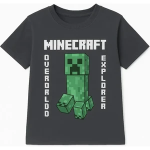 Mınecraft Erkek Çocuk Pamuklu Tişört