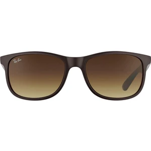 RAYBAN 4202 607313 55