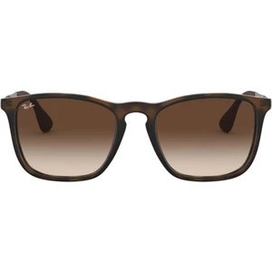 Rb4187 856/13 54 Unisex Güneş Gözlüğü Chris