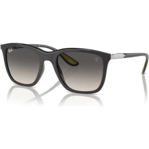 4433M F62411 54 Unisex Güneş Gözlüğü Unisex Güneş Gözlüğü