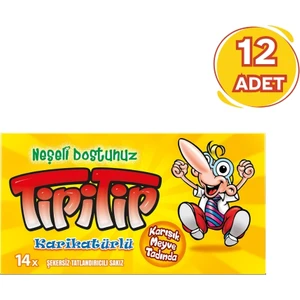 Karışık Meyve Aromalı Sakız 27 gr - 12 Adet