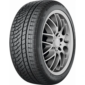 225/55 R18 102V Xl Eurowinter HS02 Pro 4x4 Oto Kış Lastiği (Üretim YILI:2025)