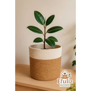 Çok Amaçlı Dekoratif Organizer Sepet