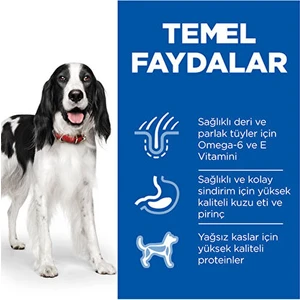 Advanced Fitness Kuzulu ve Pirinçli Orta Irk Yetişkin Köpek Maması 14 kg