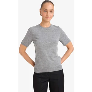 Regular Fit Bisiklet Yaka Kısa Kollu Triko Kazak E6810AX25AU