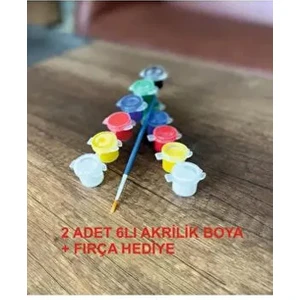 Akrilik Boya (6renk) Firça Hediye (2 Set)