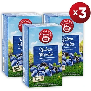 TEEKANNE  Yaban Mersini Karışık Bitki Çayı