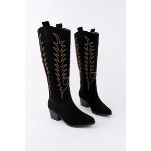 Texas Sivri Burun Nakışlı Kalın Topuklu Kadın Kovboy Western Çizme