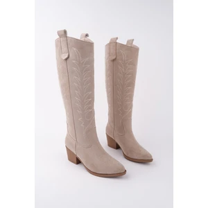 Texas Sivri Burun Nakışlı Kalın Topuklu Kadın Kovboy Western Çizme