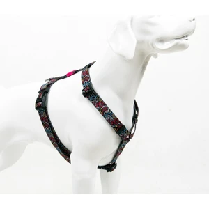 Tailpetz Graffiti H-tipi Göğüs Tasması Ayarlanabilir, Konforlu Ve Dayanıklı Desenli Köpek Tasması