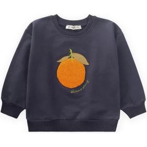 Süzene Nakışlı Sweatshirt 1-7 Yaş Antrasit
