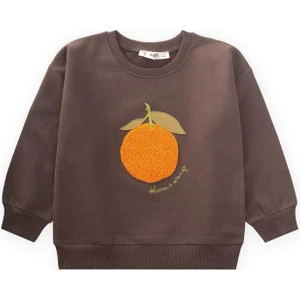Süzene Nakışlı Sweatshirt 1-7 Yaş Kahverengi