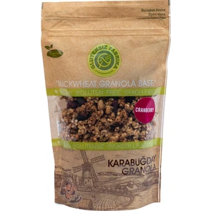 Glutensiz Fabrika Cranberryli Yulaf & Karabuğday Granola 300 g (Glütensiz & Vegan)