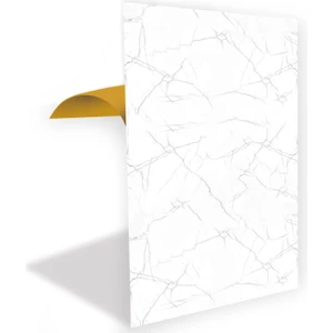 Kendinden Yapışkanlı Silver Desenli Pvc Panel 41X62 cm (4 Adet) 1 M²