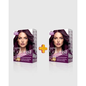 Master Colorist 2'li Set Boya 3.66 Patlıcan Moru