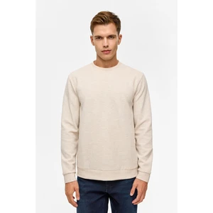 Bej Regular Düz Bisiklet Yaka Sweatshirt