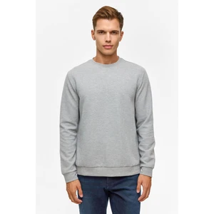 Gri Regular Düz Bisiklet Yaka Sweatshirt